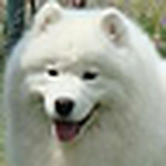 Profile Picture of libby burch (@libby and dave) on Flickr