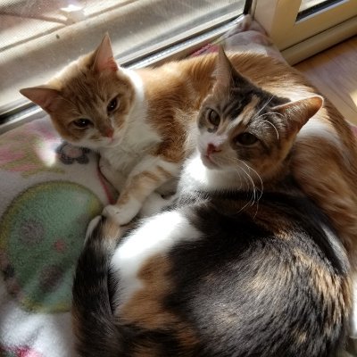 Profile Picture of Brendon Owens (@BrendonOwens1) on Twitter