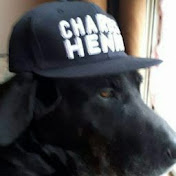 Profile Picture of Danny Lacasse (@dannylacasse8533) on Youtube