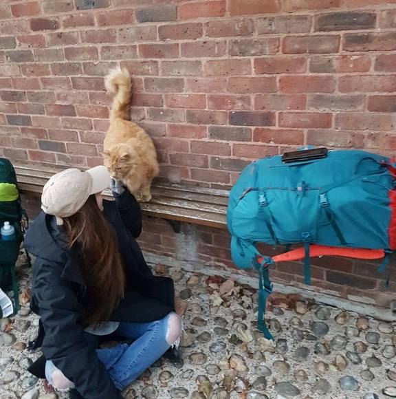 Profile Picture of Brianne Davidson (@briannedavid985) on Poshmark