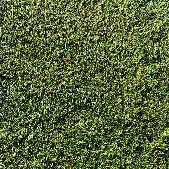 Profile Picture of Sam Riner (@isamriner) on Poshmark