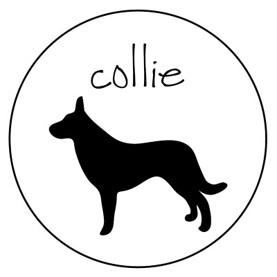 Profile Picture of Jim Sabatier (@jim_sabatier) on Twitter