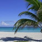 Profile Picture of Robert Ortlieb (@trebor.beiltro) on Instagram