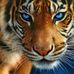 Profile Picture of Wilfredo Quiles (@wilfredo.quiles.52) on Facebook