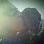 Traci Harrison - Instagram Profile Picture of Traci Harrison (@traci.puppylover) on Instagram