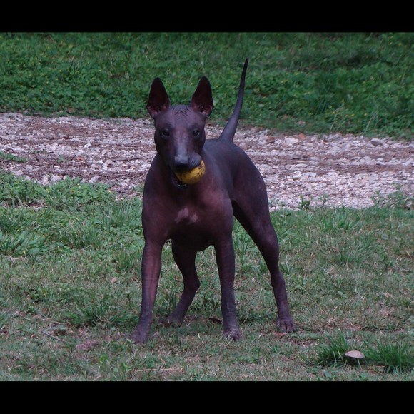 Profile Picture of Anna-maria Barfoot (@annamariab) on Poshmark