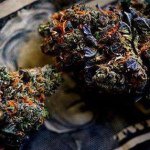 Profile Picture of Isaac & Angelas Stoner Page (@oroville.stoners) on Instagram