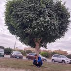 Profile Picture of Mark Shady (@mark.shady.712) on Facebook