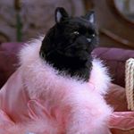 Profile Picture of loretta (@loretta_sour) on Instagram