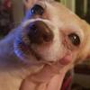 Profile Picture of Joy Roberts (@@joyembry) on Tiktok