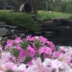 Profile Picture of James Naugler (@james.naugler.98) on Facebook