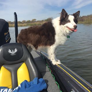 Profile Picture of Mike Shultz (@mike.shultz.547) on Facebook