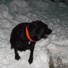 Profile Picture of Daniel Hutchins (@danielhutchins2) on Tiktok