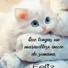 Profile Picture of luz Aguiar (@user88591453725995) on Tiktok