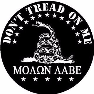 Profile Picture of Keep America America (@SteveZimCT) on Twitter