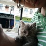 Alvin Ding - Instagram Profile Picture of Alvin Ding (@alvin.ding.507) on Instagram