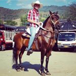 Profile Picture of David Mazo (@davidgmazo30) on Instagram