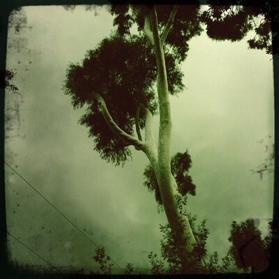 Profile Picture of Paulamir (@PaulNadjmabadi) on Twitter