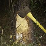 Justin Odom - Instagram Profile Picture of Justin Odom (@justin.odom) on Instagram