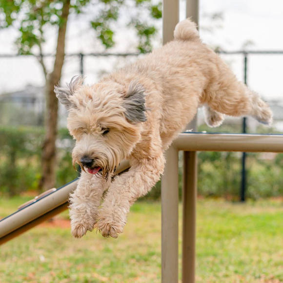 Mikki Notman - Poshmark Profile Picture of Mikki Notman (@michelenotman) on Poshmark