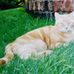 Profile Picture of Mavis Bates (@Mavis-Bates) on Facebook