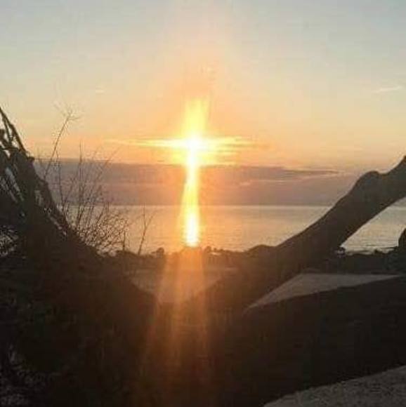 Profile Picture of Thomas Bishop (@thomasbishop870) on Poshmark