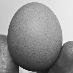 Profile Picture of Christopher Lamb (@chris_j_lamb) on Twitter