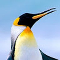 Profile Picture of Chad Ali (@chad-ali-3) on Quora