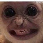 Profile Picture of Rogelio Jiménez (@blakn.1) on Instagram