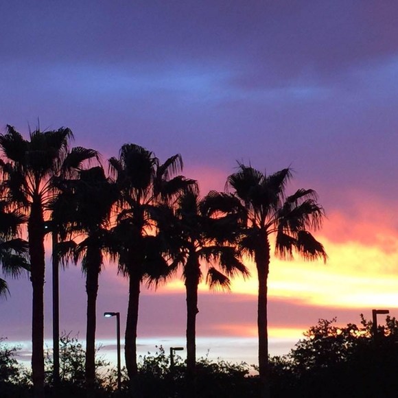 Profile Picture of Rose Gusha (@sassy0157) on Poshmark