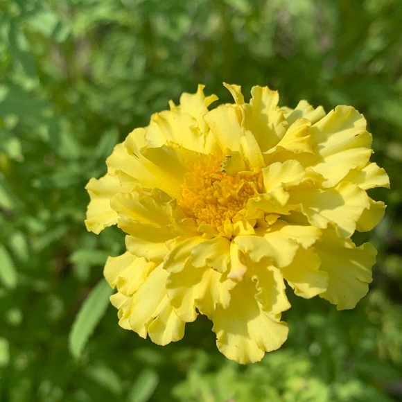 Profile Picture of Basantie Nauth (@basantienauth) on Poshmark