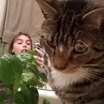 Profile Picture of plant master (@katherineplants) on Instagram