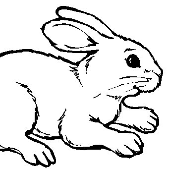 Profile Picture of Jhon David Fiestas R (@JhonDavidFiest2) on Twitter