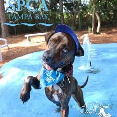 Profile Picture of Grace Palwick (@GPalwick) on Twitter