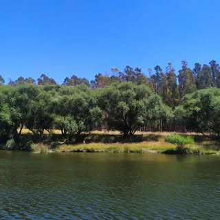 Profile Picture of ɴɪᴄᴏ (@nicolasjuarez_) on Instagram