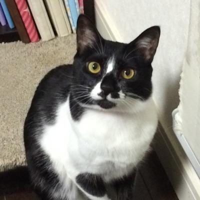 Profile Picture of Akio Takahashi (@hachiman4u) on Twitter