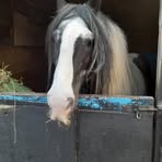 Profile Picture of Stuart Skinner (@stuart.skinner.5832) on Facebook