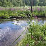 Profile Picture of Jeannine Aubert (@jeannine.aubert.142) on Facebook