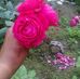 Profile Picture of Susmita Singh Bhadauria (@Susmita-Singh-Bhadauria) on Facebook
