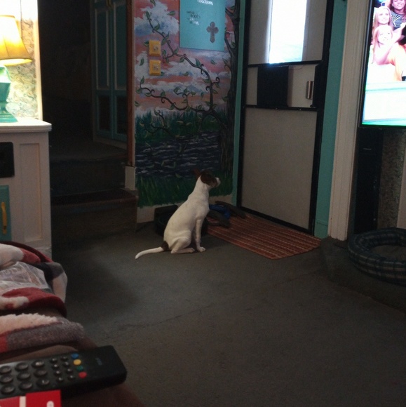 Tracie Harrison - Poshmark Profile Picture of Tracie Harrison (@conanbff) on Poshmark