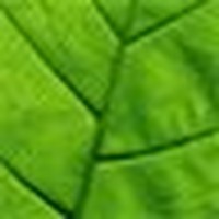 Profile Picture of Peter Hach (@peter-hach) on Quora