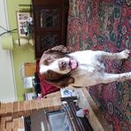 Profile Picture of Audrey Baranski (@audrey.baranski.5) on Facebook