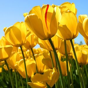 Gaurav Malik - Myspace Profile Picture of Gaurav Malik (@gaurav.malik) on Myspace