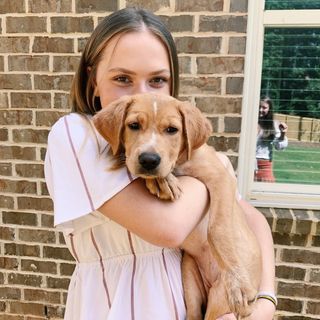 Profile Picture of LINDSEY KLEIN (@lindseykleinn) on Instagram