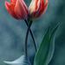 Profile Picture of Jeffinmon Jeffinmon (@jeffinmon.jeffinmon.5) on Facebook