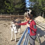 Profile Picture of Melanie Paradis (@mfparadis) on Instagram