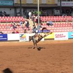 Profile Picture of Toby Coulthard (@toby_coulthard) on Instagram