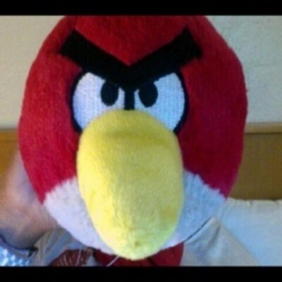 Patti Walls - Twitter Profile Picture of Patti Walls (@PattiWalls13) on Twitter