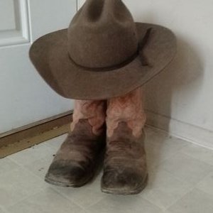 Profile Picture of Tim Bento (@Polis_44) on Twitter