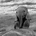 Priscilla Alvarez - Flickr Profile Picture of Priscilla Alvarez (@stephanieprisc) on Flickr